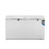 Arcón congelador puerta abatible gran capacidad 435l litros BD-498 6 arcon congelador puerta abatible gran capacidad 435l litros bd 498 01
