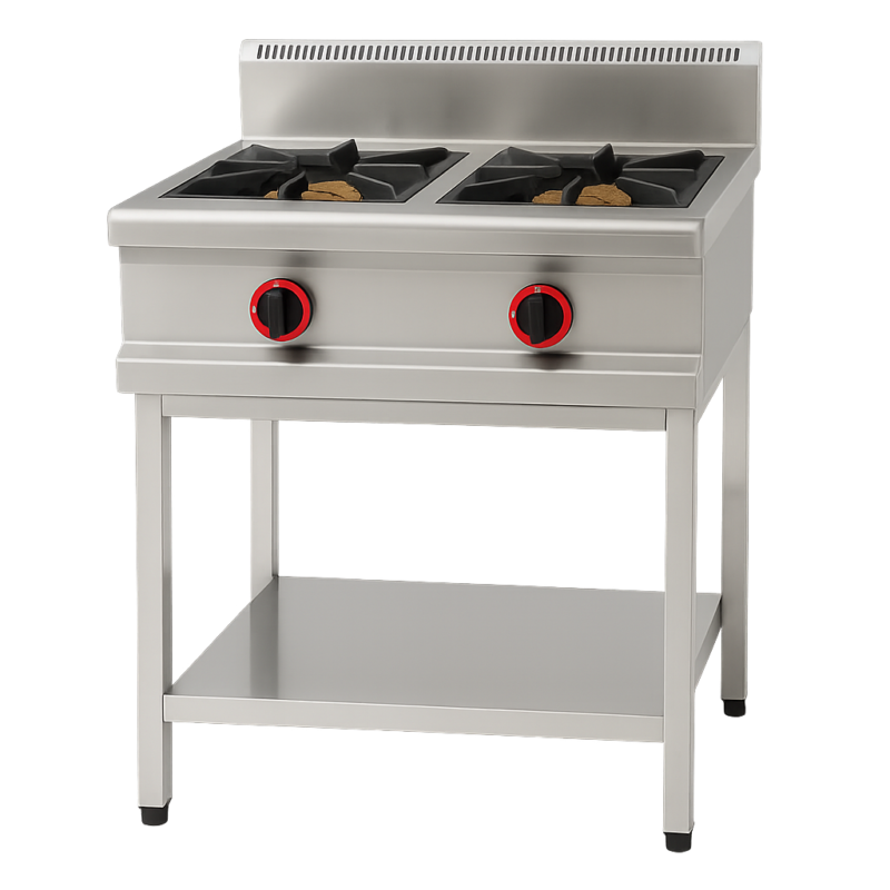 Planchas industriales: gas vs eléctrica, ¿qué conviene más a tu cocina? 5 Cocina a gas de 2 fuegos con soporte GBR-2/C